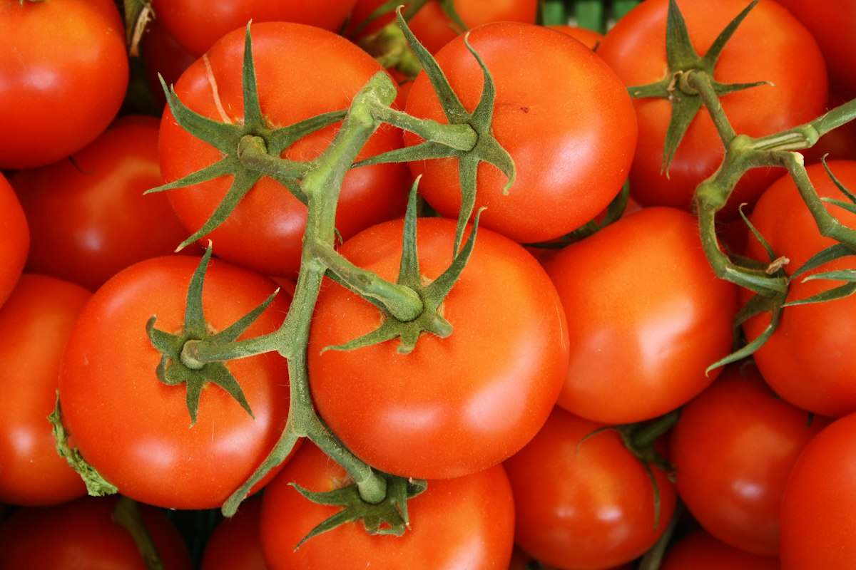Meal planning and food preparation